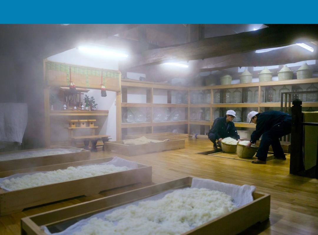 日本清酒十四代介绍,日本清酒14代哪款好喝