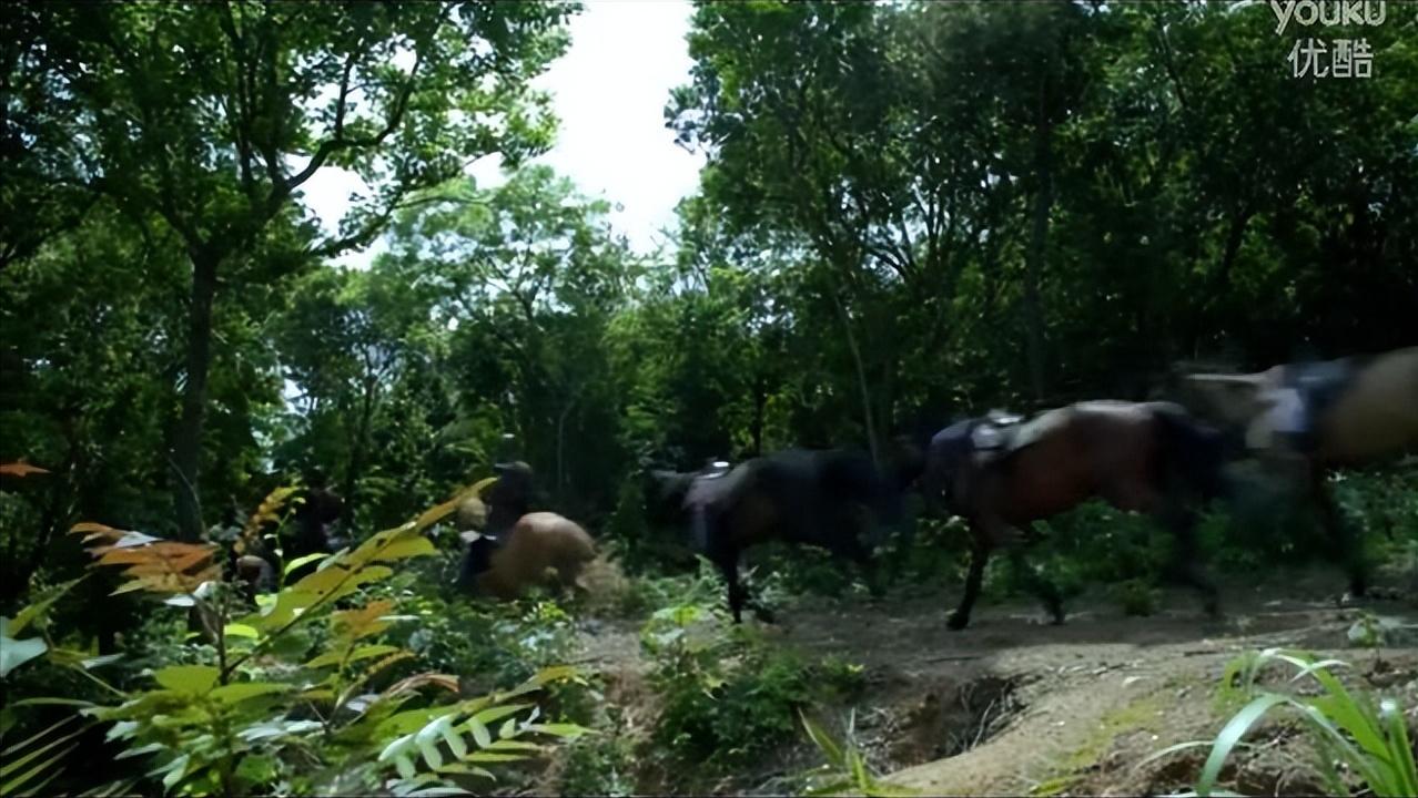 琅琊榜是历史真实的吗,琅琊榜最有深度的解析