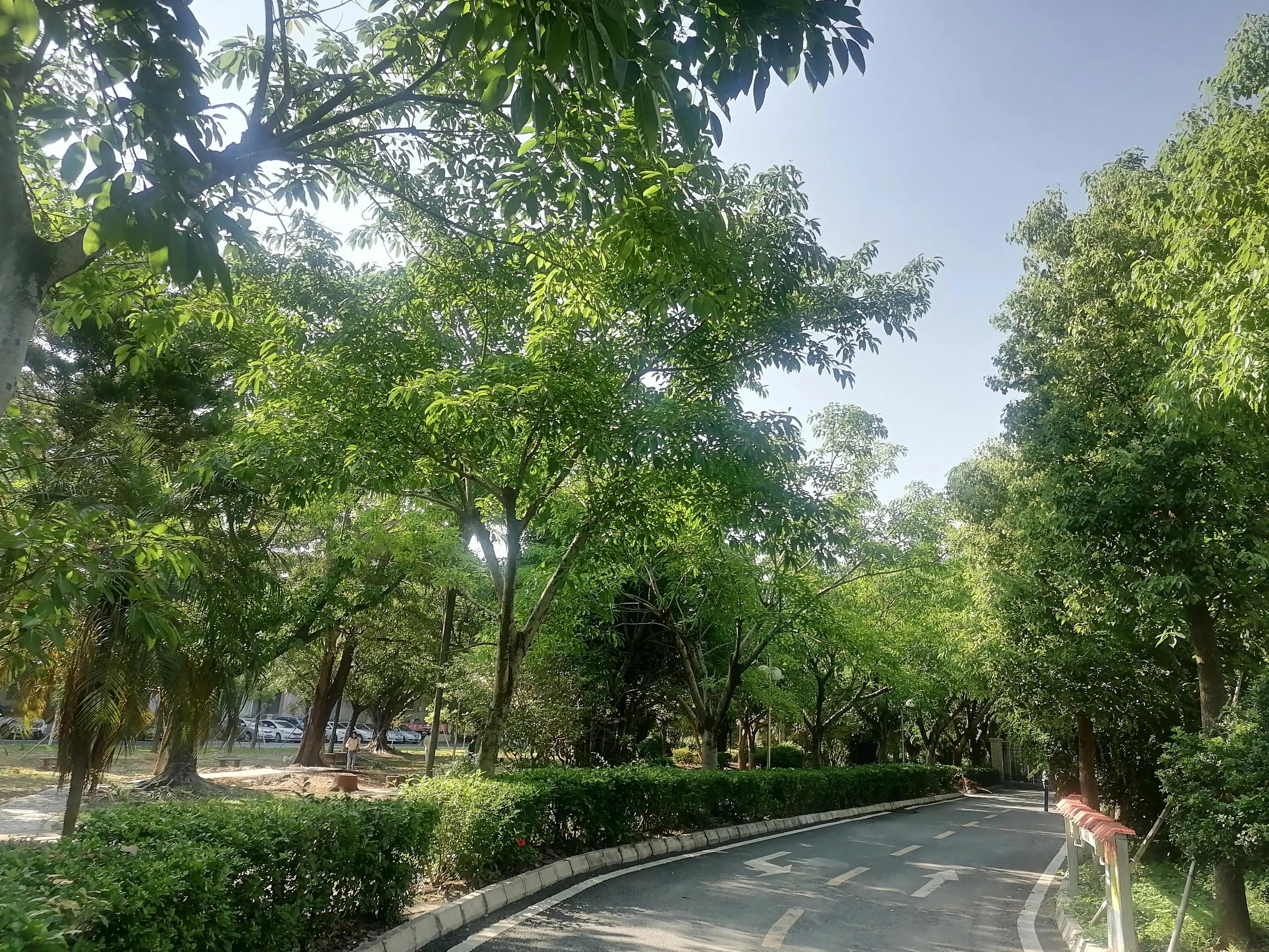 创业投资该如何投资,创业如何筹资和投资