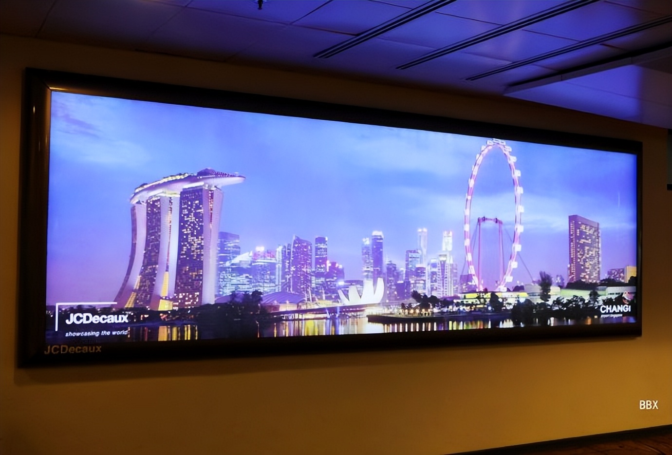 新加坡樟宜机场的仙人掌花园,新加坡最美机场在哪个航站楼