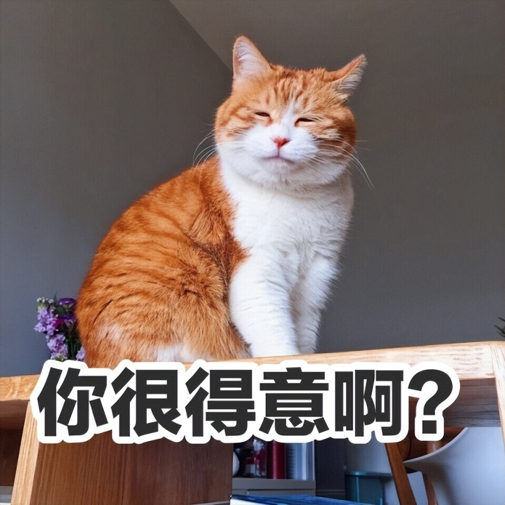 被猫抓伤在家怎么自救,被猫抓伤如何自救