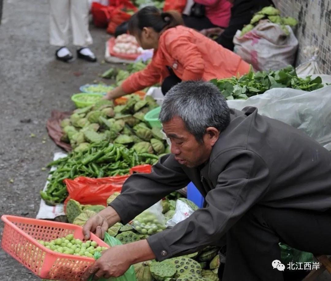 养活我们的菜市