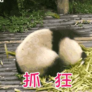 如何把微信表情包存到输入法,怎样将表情包保存到微信表情包里