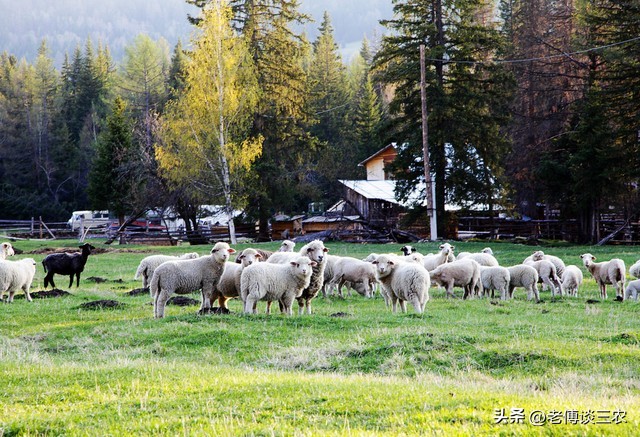 带你了解俄罗斯的农村是啥样子,俄罗斯最落后的农村是什么样子