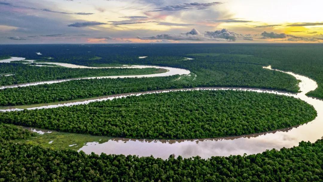 RR · LIFESTYLE | 非凡远见 裨益后世