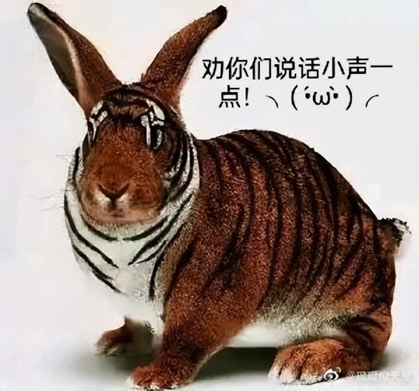 美债危机耶伦最终表态,耶伦发出警告美债