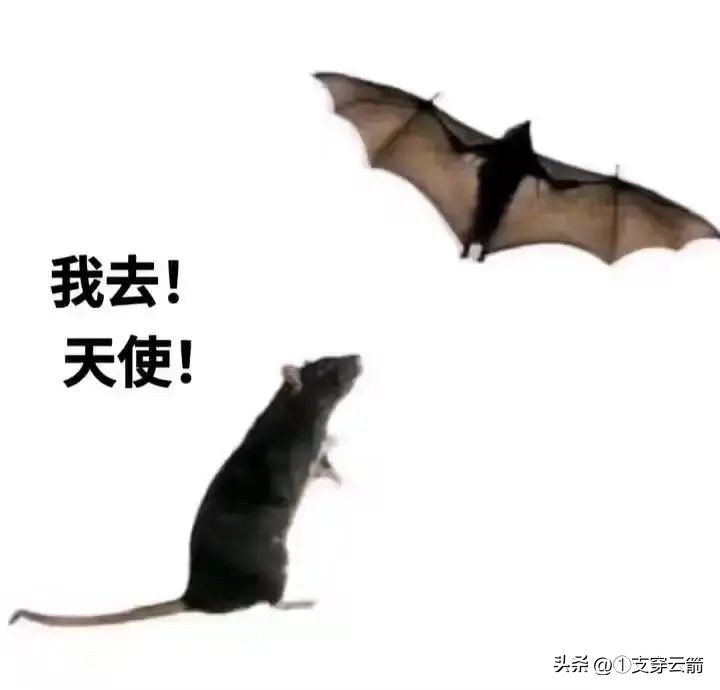 每日一笑足球,每日一笑亚冠男篮