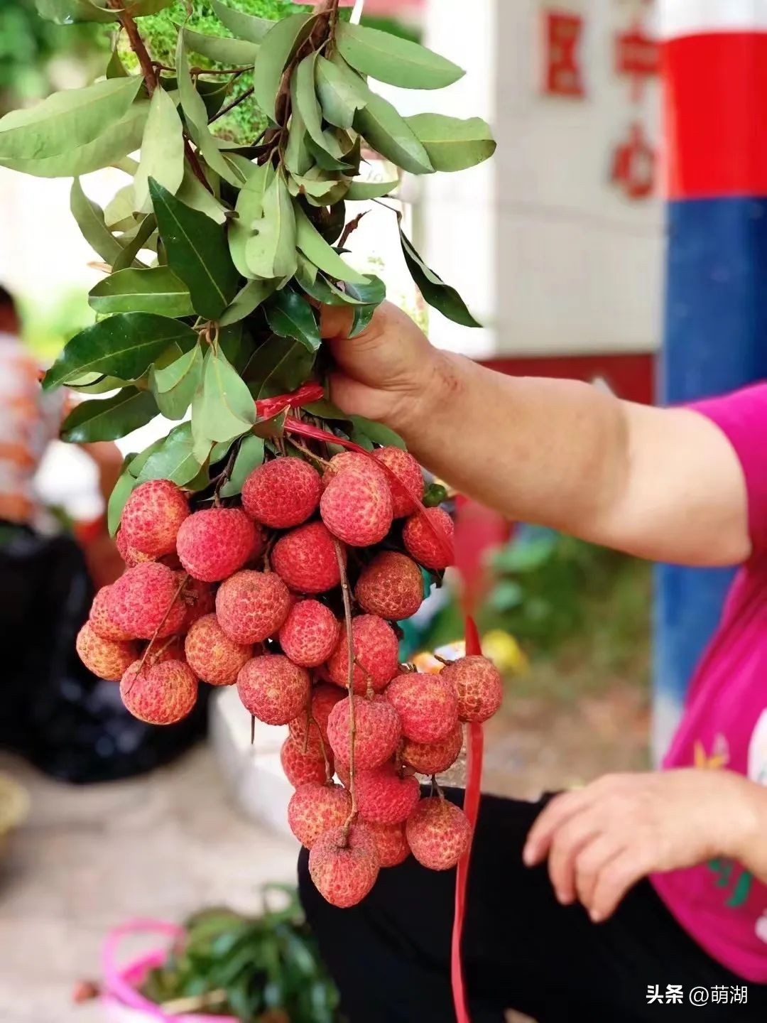 广州这个竹林溯溪胜地玩水,清凉避暑好去处山洞里一起来玩水
