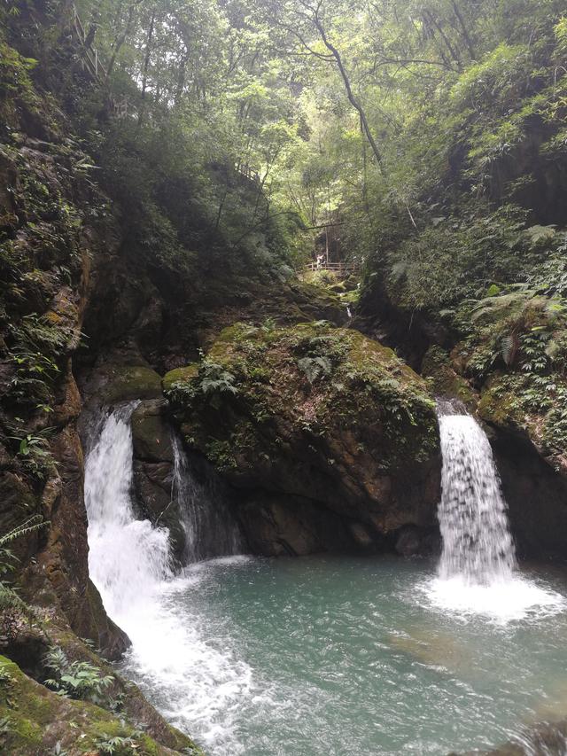 万盛避暑旅游景点大全,重庆黑山谷是避暑度假的好地方