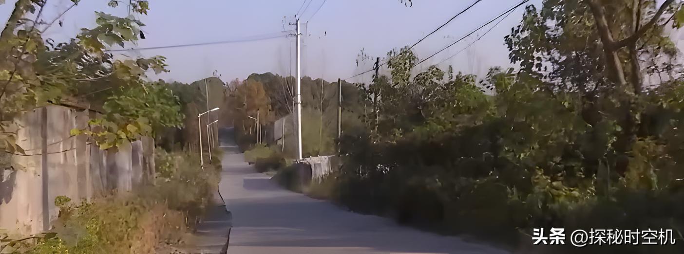 月圆之夜消失的少女：10天后麦田惊现女尸，24年后真相得以揭开