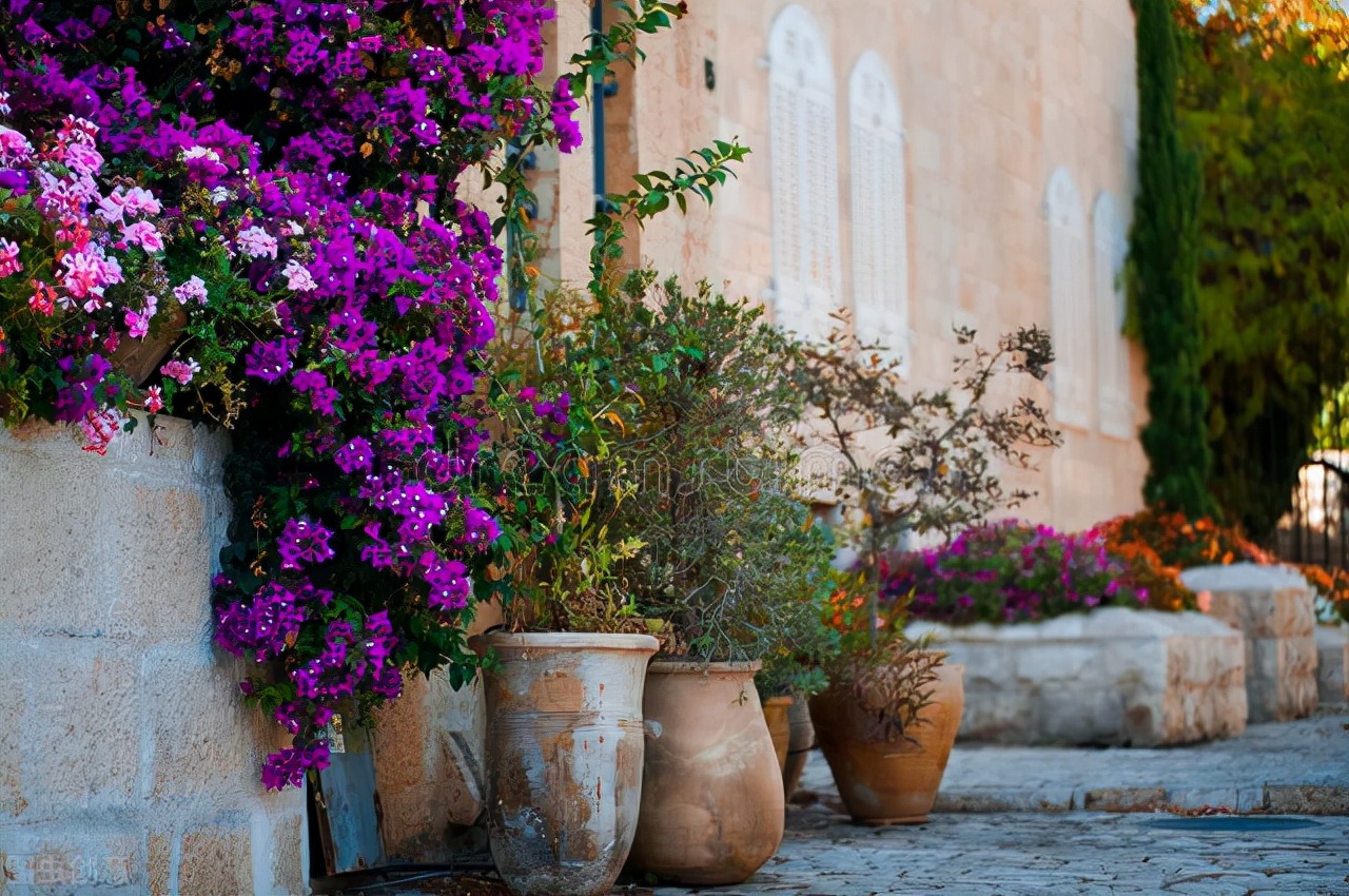 邻里好赛金宝的含义,邻里好生鲜超市振兴西路