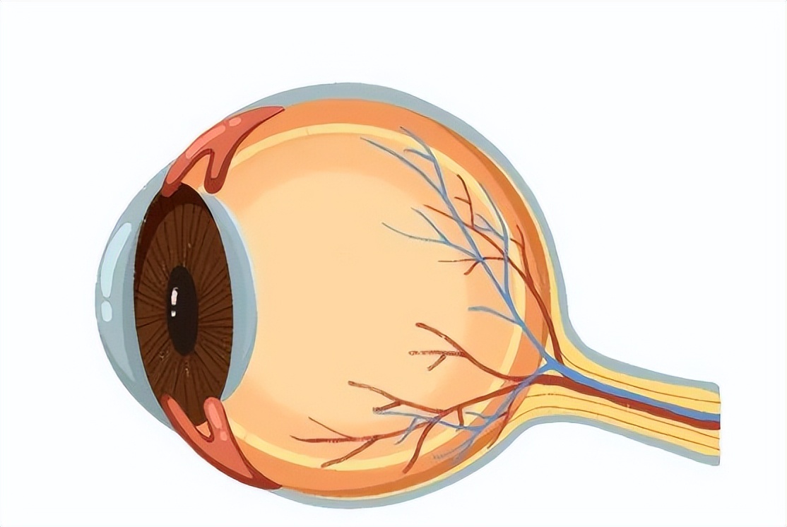 去水上乐园会感染HPV么？