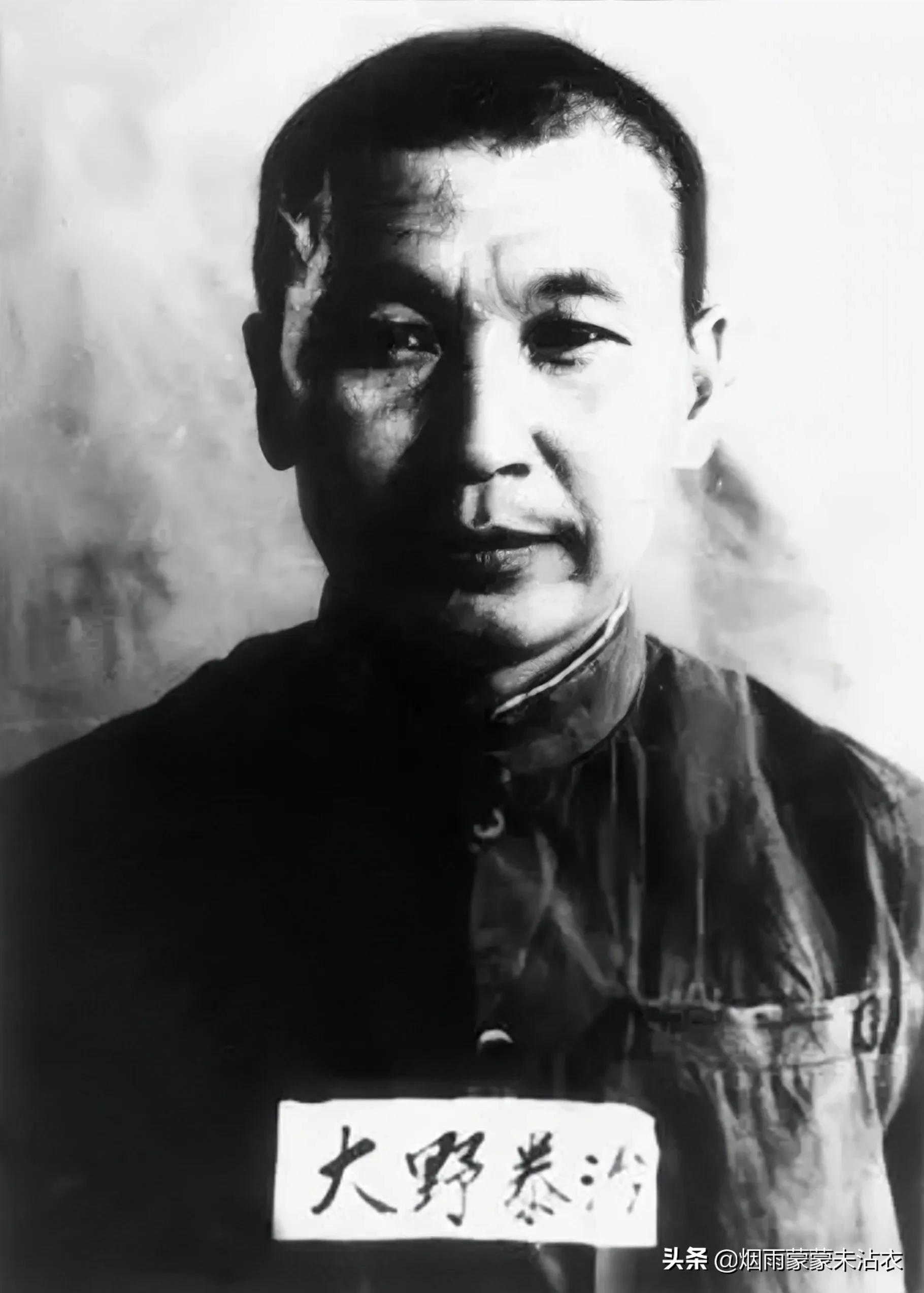 大野泰治的实录,大野泰治为什么不判死刑