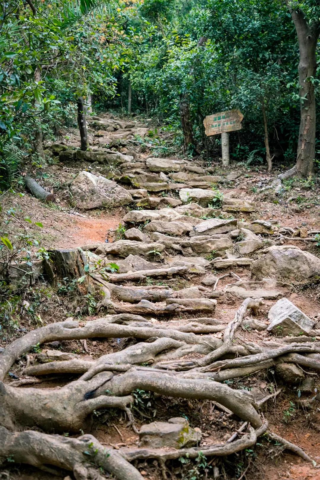 深圳最值得爬的景点,深圳十大最值得爬的山