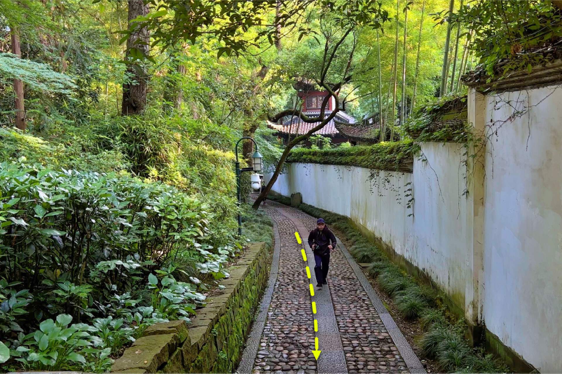 杭州古道徒步详细攻略,杭州西湖边最适合徒步的打卡地