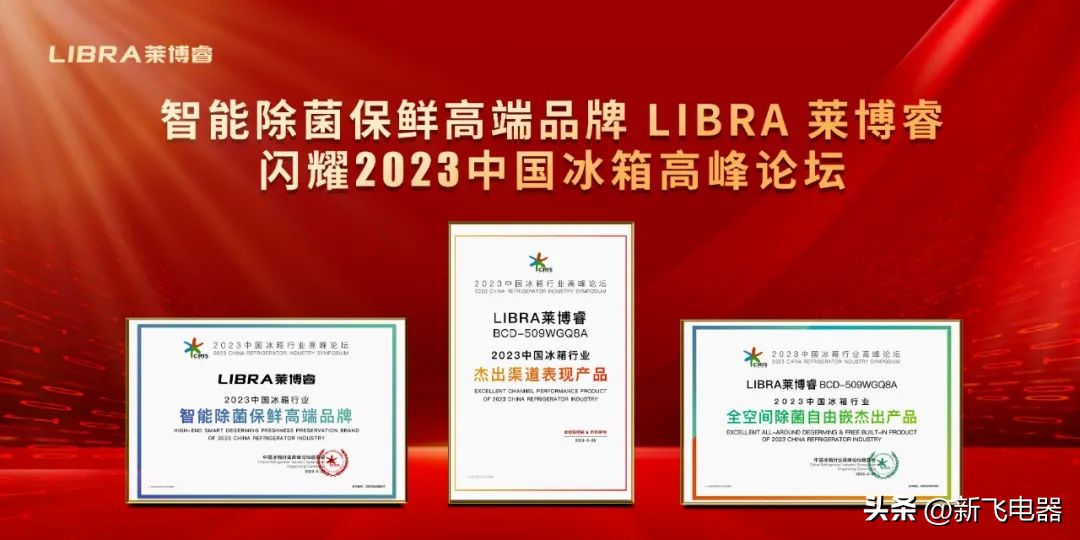 新飞双品牌协同发展,新飞竞争力