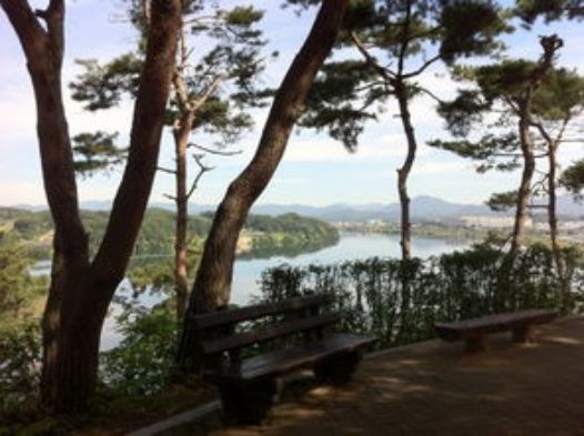 同样孤悬敌后，31师91团安全脱险而180师损失惨重，91团如何做到