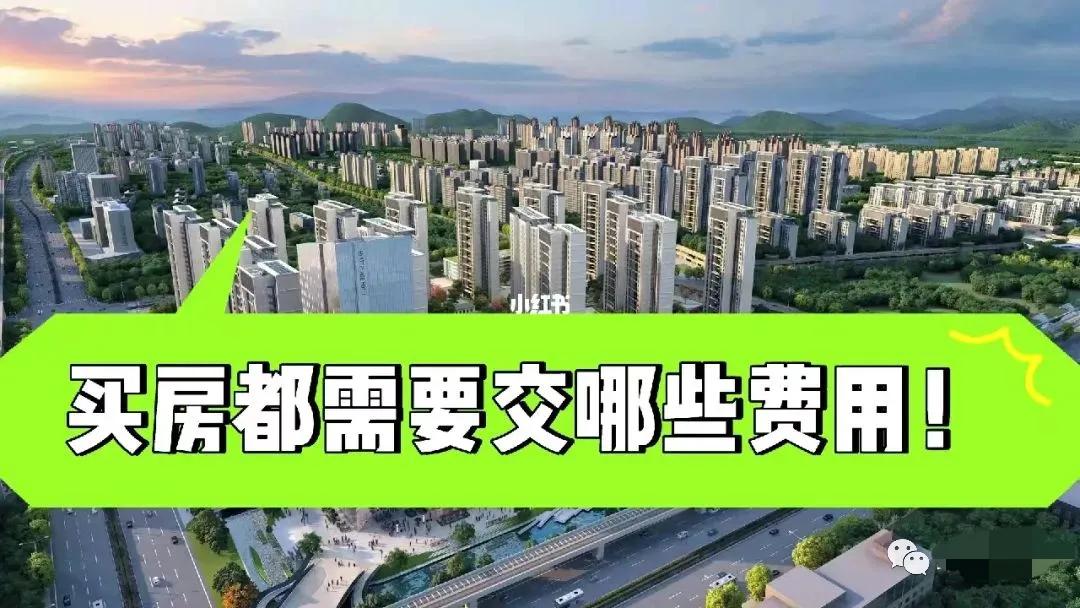 买房需要缴纳的税费有哪些呢,买房应该交哪些税买房税费全解析