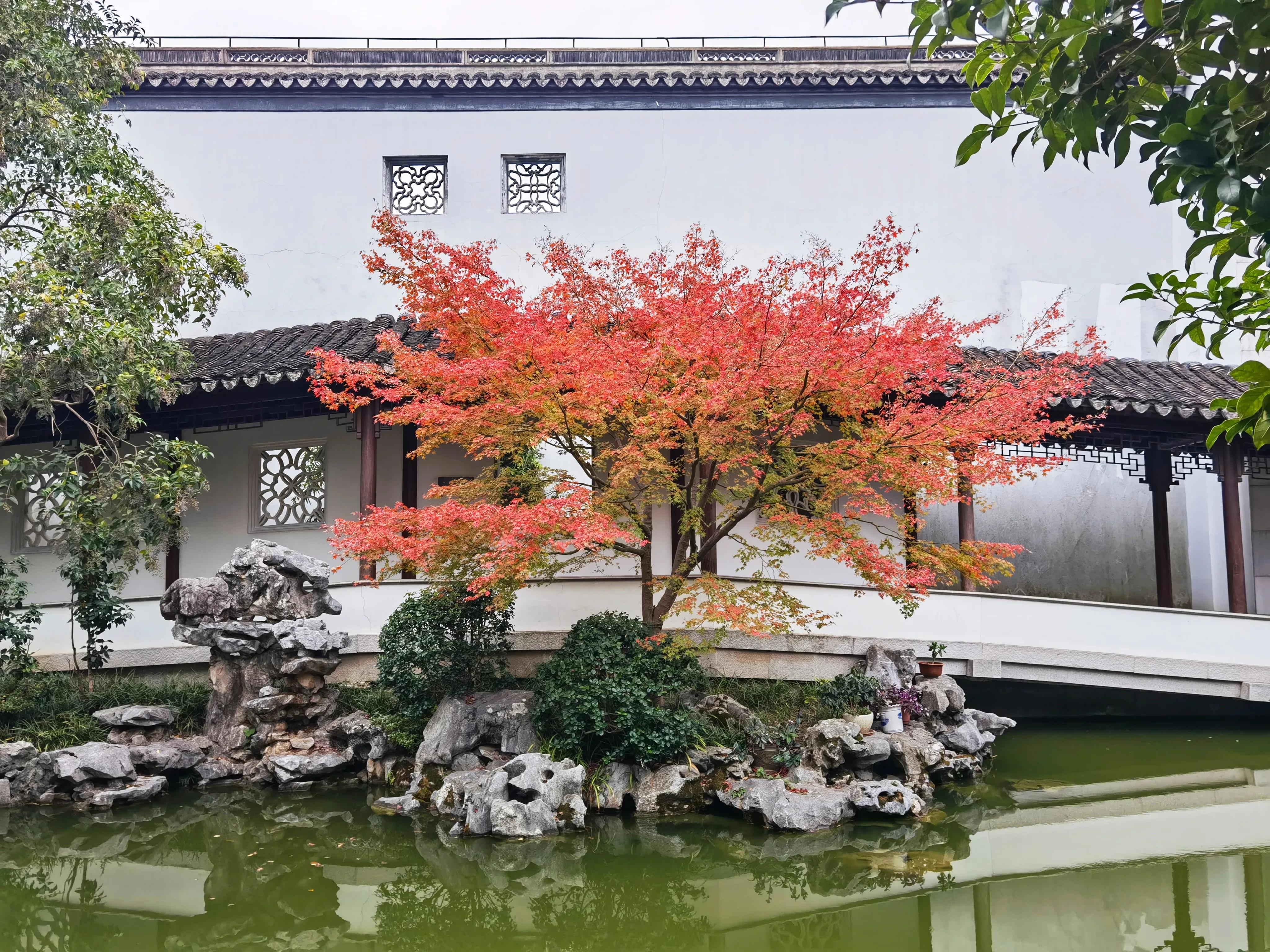 嘉定景点攻略亲子游,嘉定景区一日游