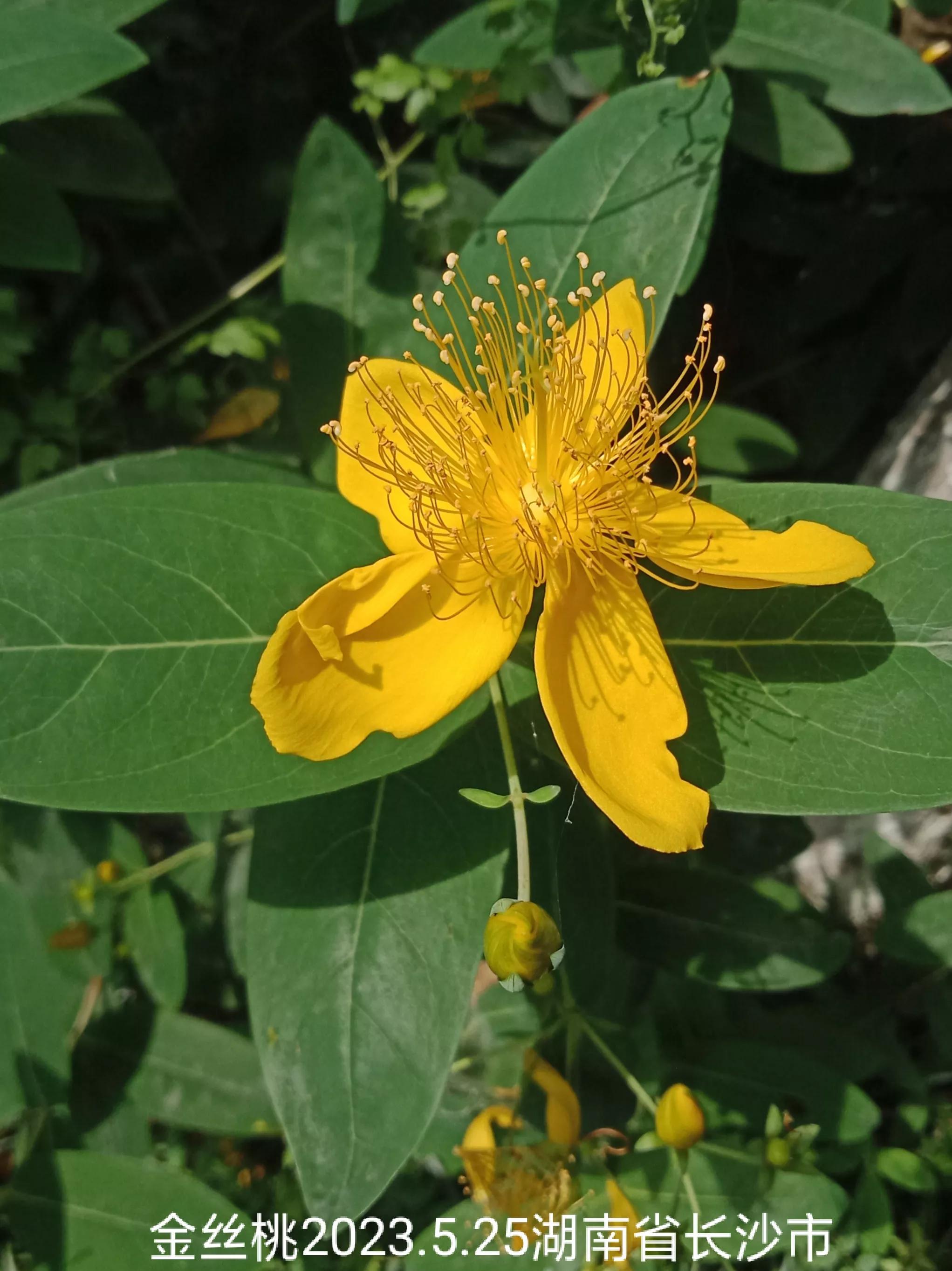 微信群忘保存找不到怎么办,怎么保存微信群里面的人