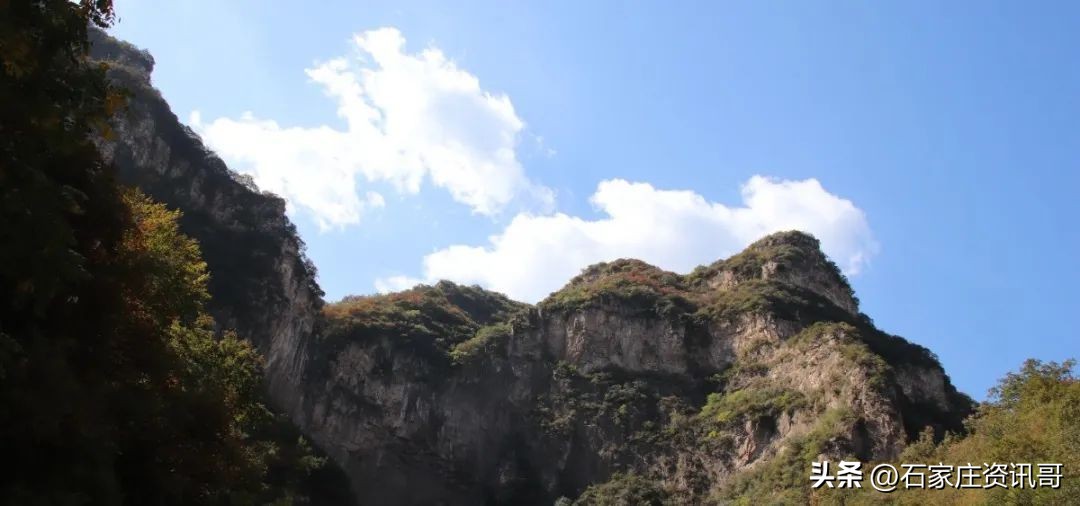 情动金秋|热烈庆祝河北中医肝病医院建院39周年