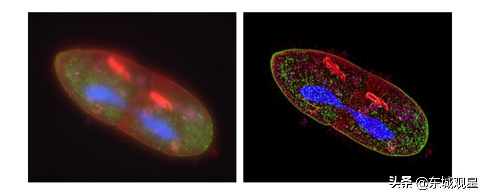 问天实验舱有多大,问天实验舱有哪些神奇之处