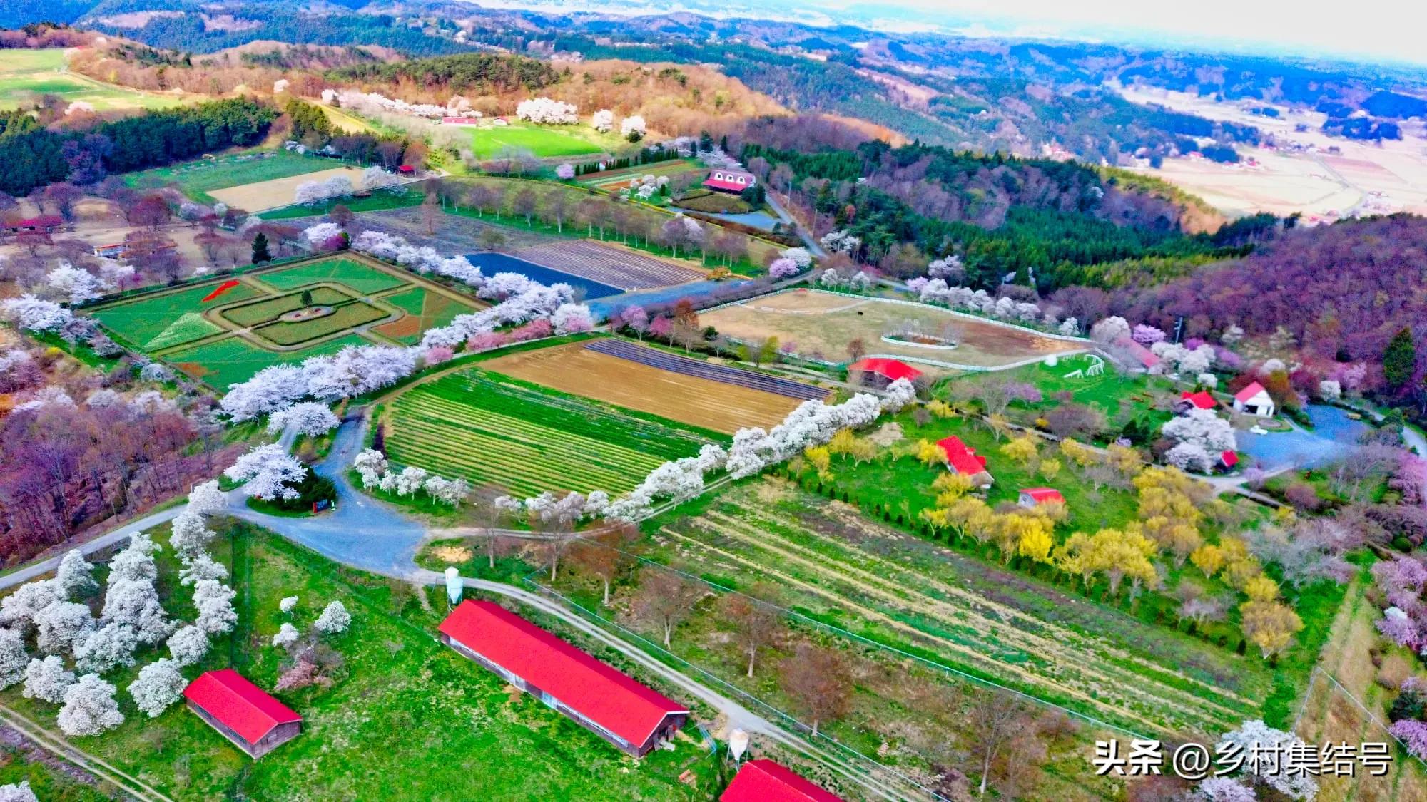 【推荐】日本馆森方舟牧场：让农业变成年轻人梦想的魅力产业