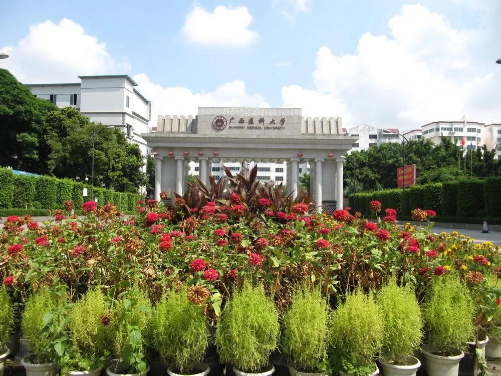 广西医科大学,广西医科大学是几本