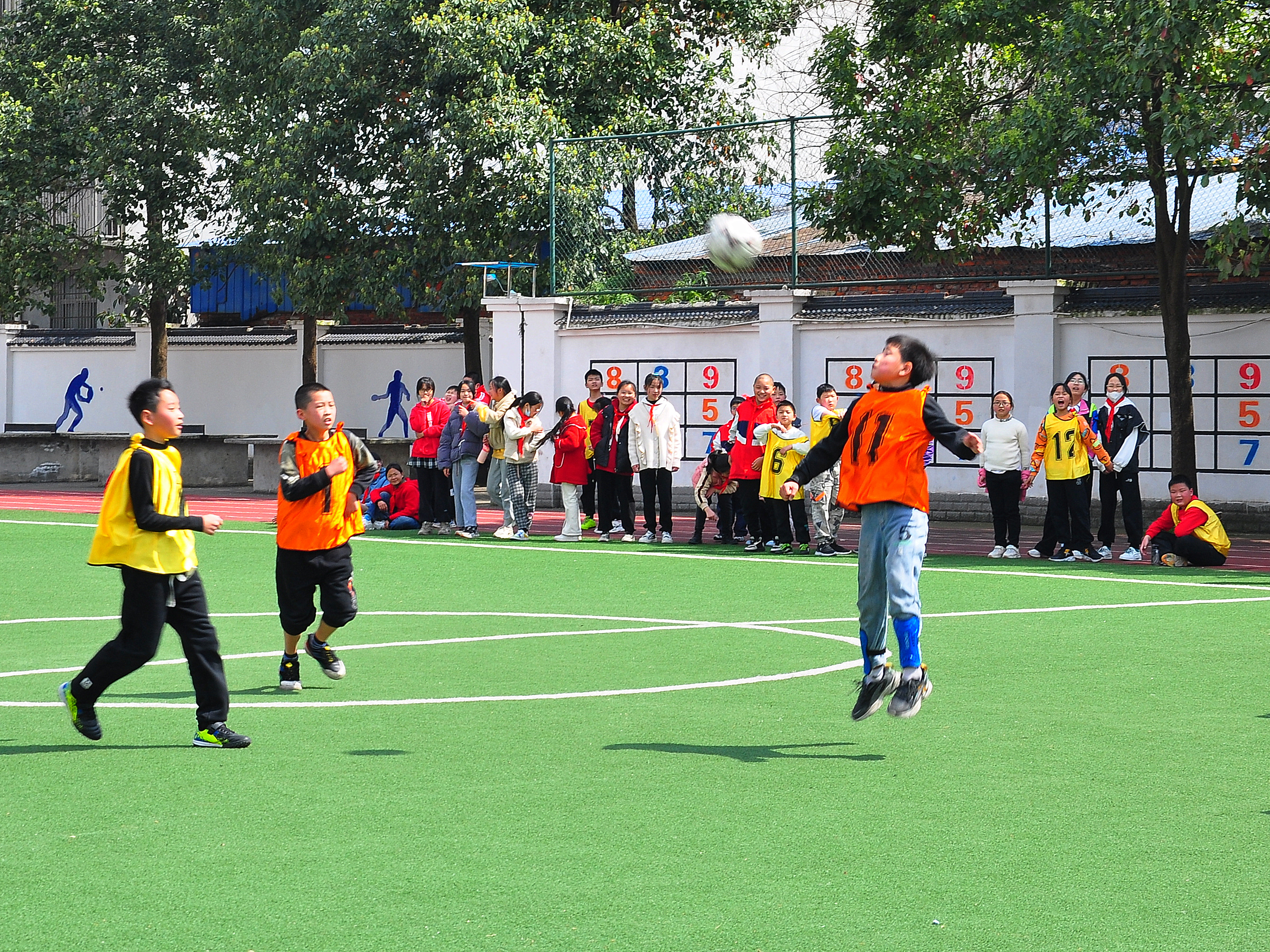 绿茵场上的精彩,绿茵驰骋足够精彩