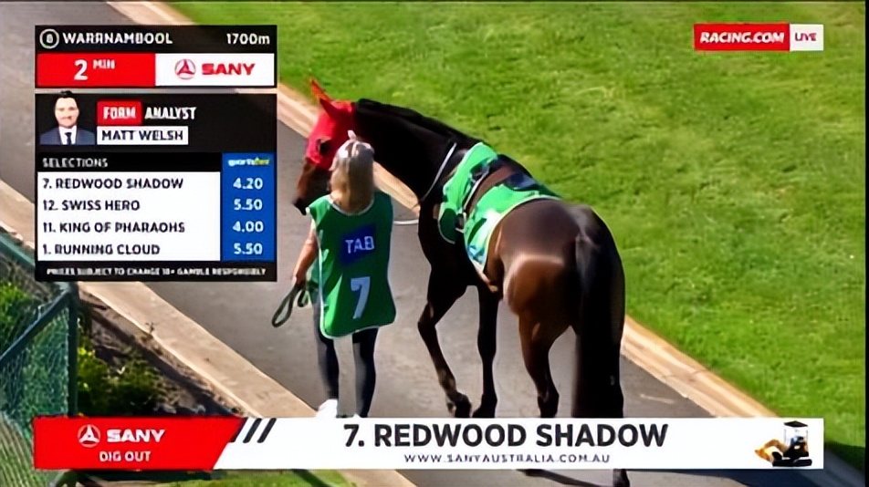 原来，茅台、TCL、三一重工……早成了国外赛马的“资深玩家”