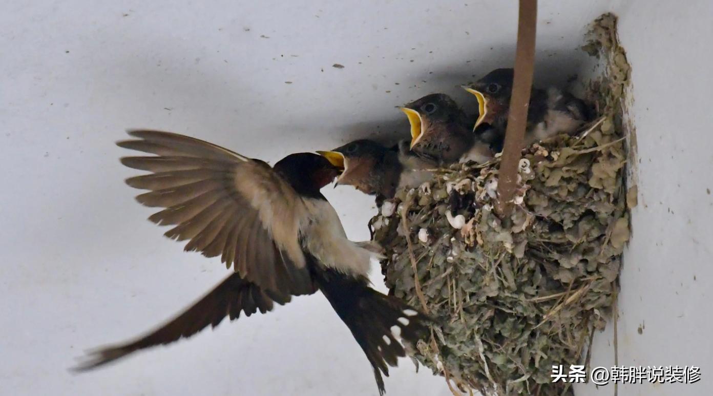 常言道后面一句是什么,常言道后半句是什么