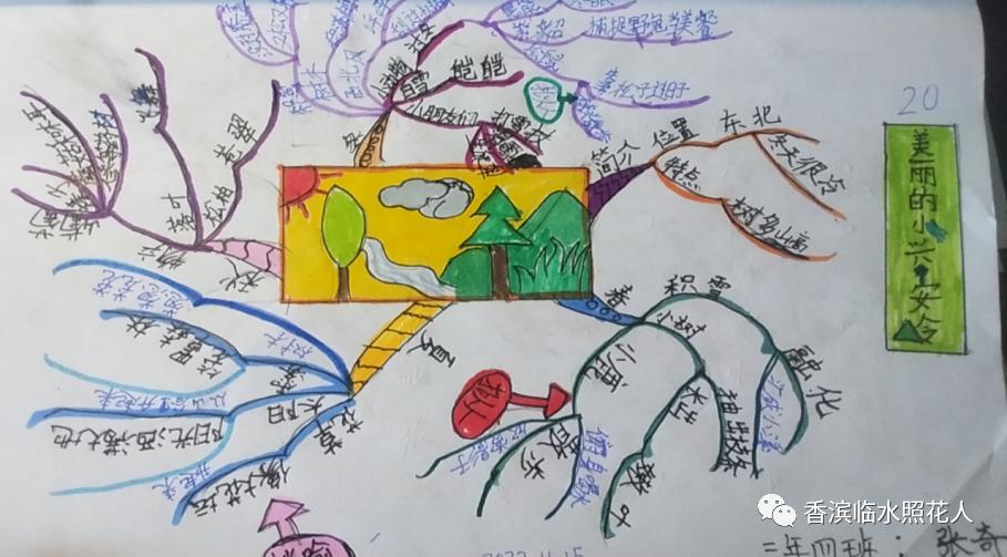 教你用思维导图学语文,语文思维导图20课小兴安岭
