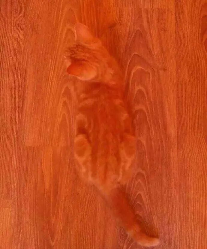 不用烦恼男孩子在想什么|冷段子2015