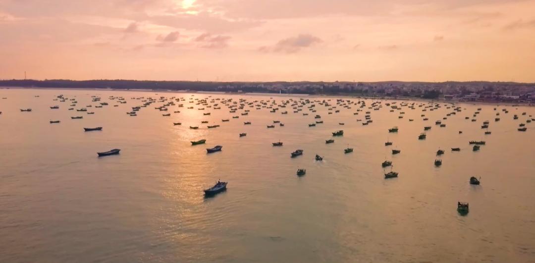 做海鲜直播一年能赚多少钱,返乡创业90后夫妻回家喂牛直播