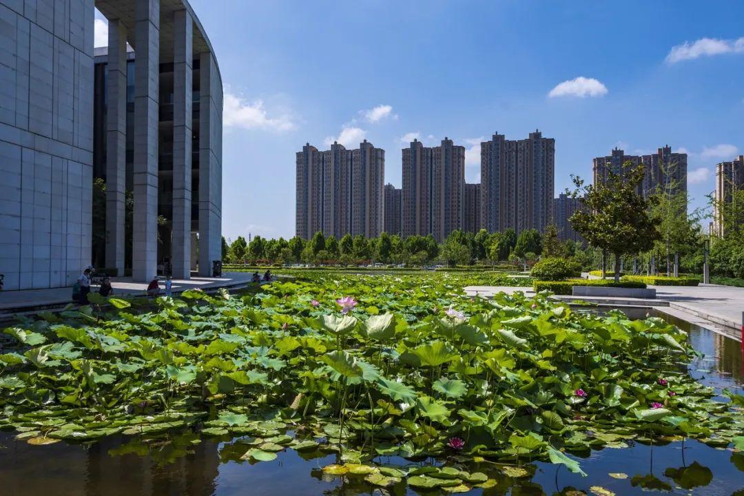 山东除了淄博还有哪里好玩,淄博都有哪些值得游玩的地方