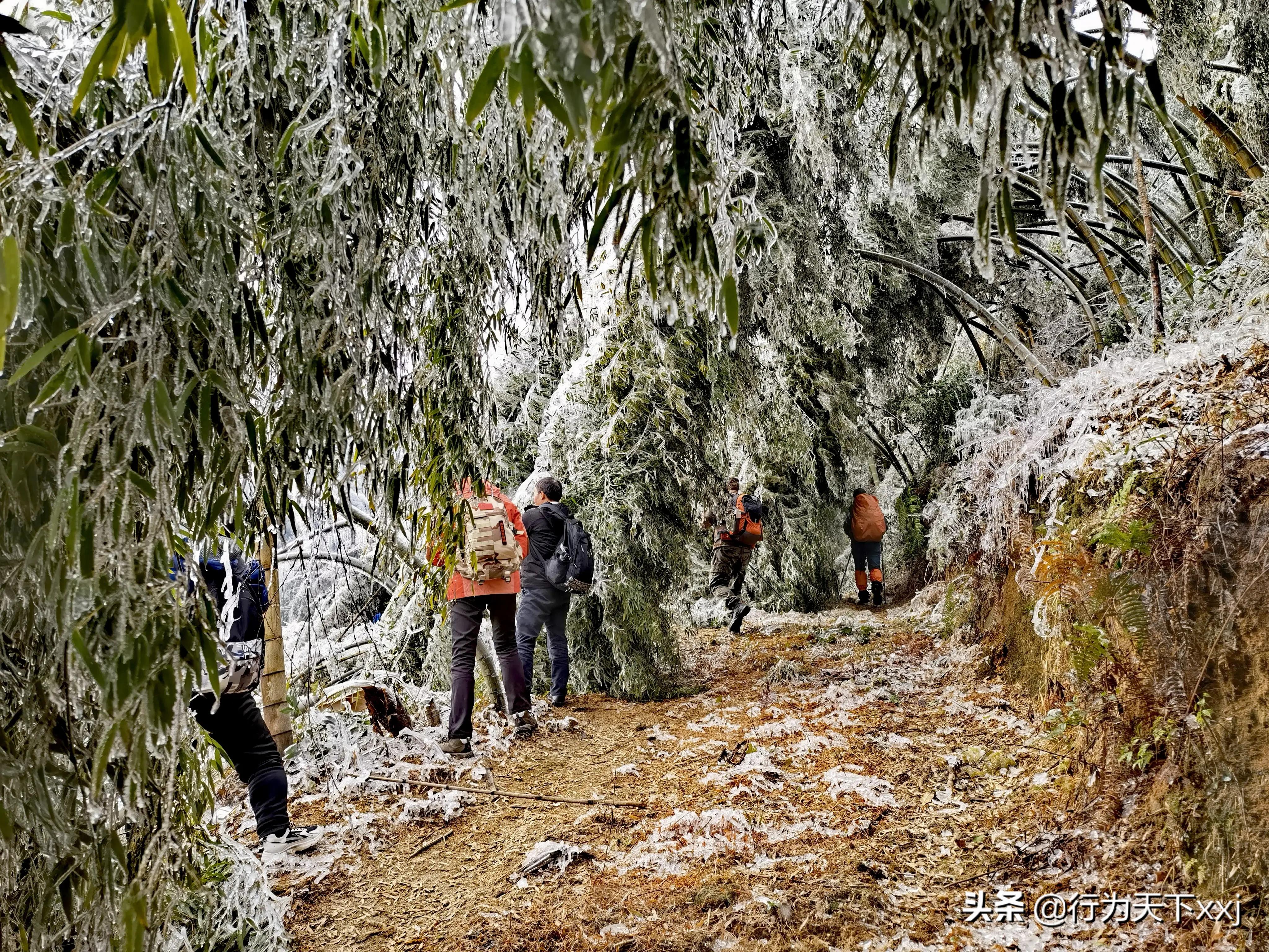 回忆红军长征走过的路,忆红军万里长征
