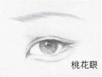 标准桃花眼的男星有哪些,最具桃花眼的男明星有哪些