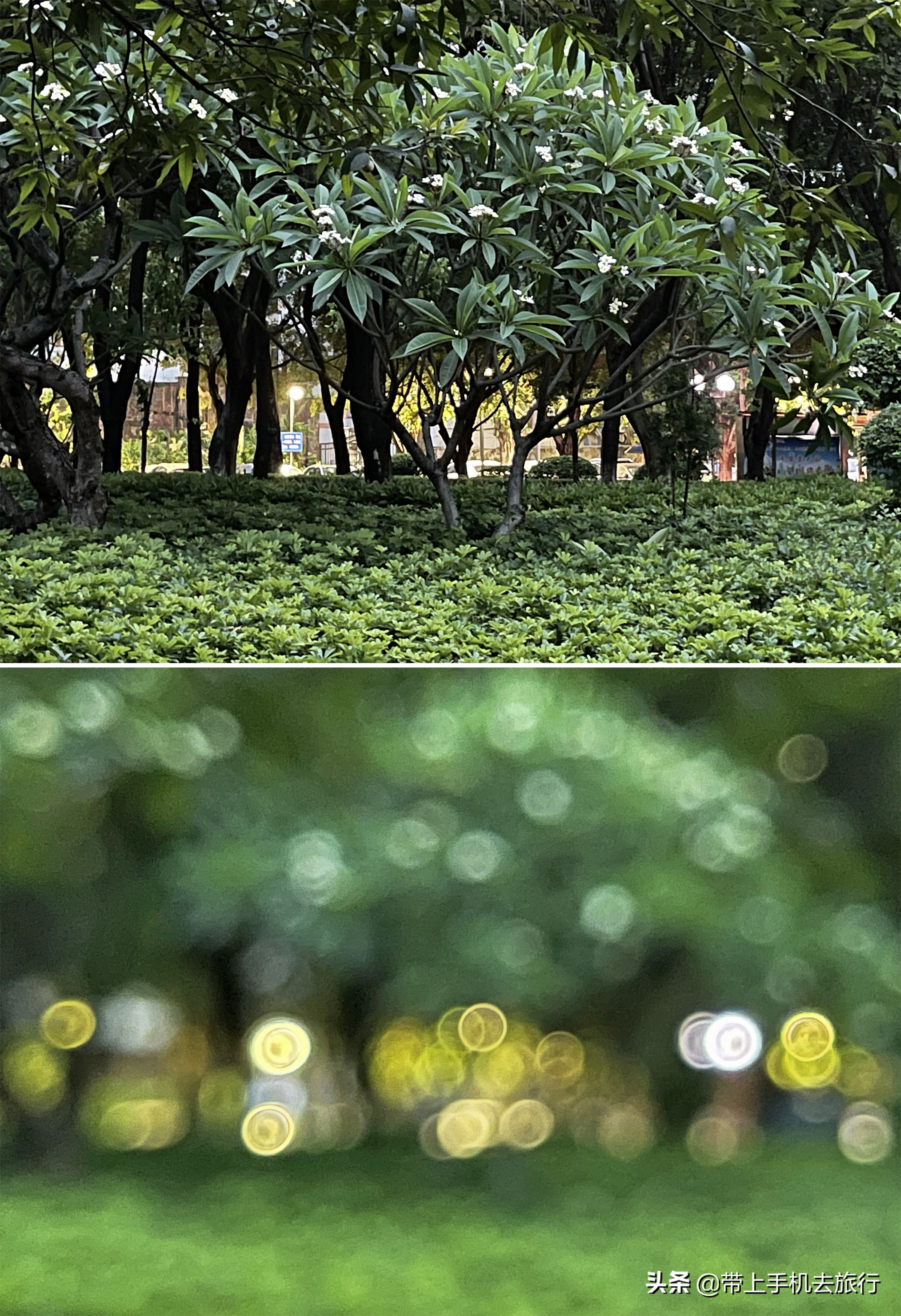 手机摄影怎么样用专业模式,手机摄影是怎么搞的