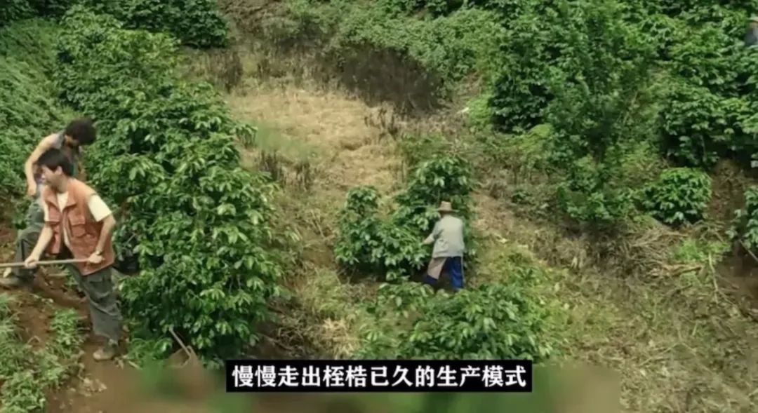 云南人考上清华北大,云南逆袭崛起