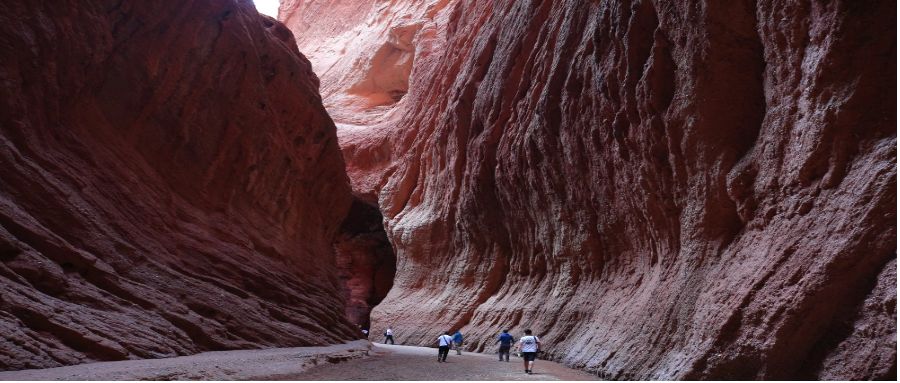 文科生难找工作是真的吗,文科生是不是特别难找工作