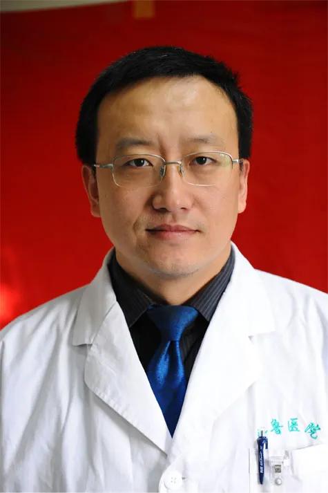 山东大学齐鲁医院党委成员,山东齐鲁医院领导班子名单