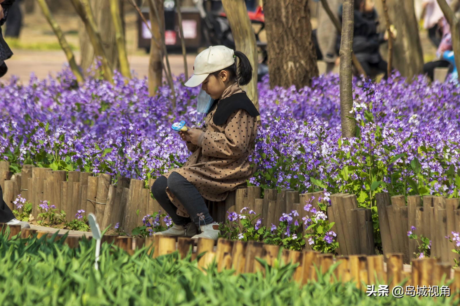 美丽的海滨城市青岛胶州,青岛胶州市美景