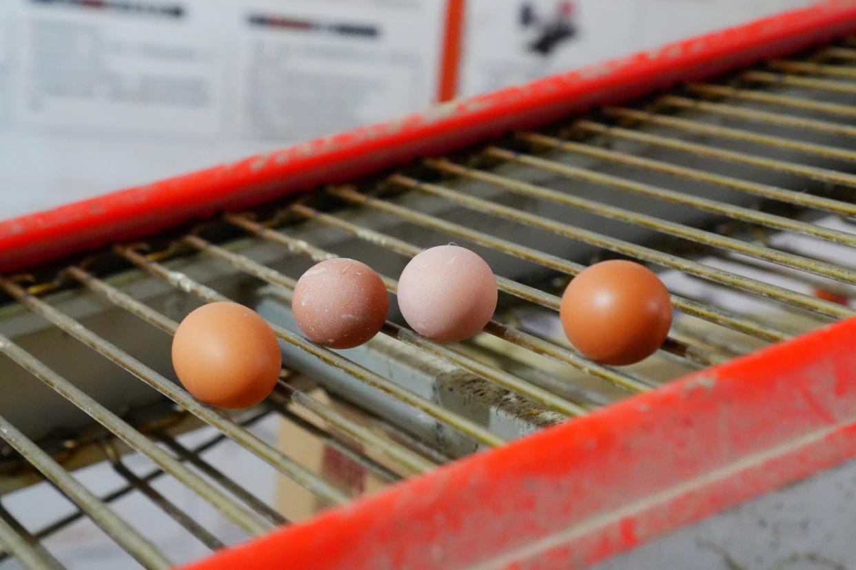 杭州自驾2小时，人间仙境，大美建德，美景美食美宿超实用攻略