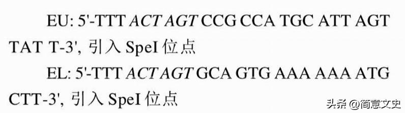 绿色荧光蛋白基因的克隆,绿色荧光蛋白在基因工程的作用