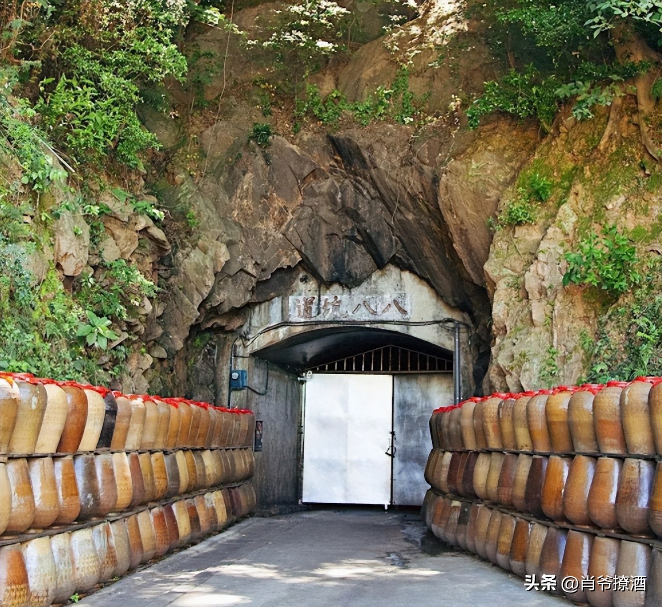 正宗台湾茅台酒多少钱,茅台百元系列性价比最高的酒