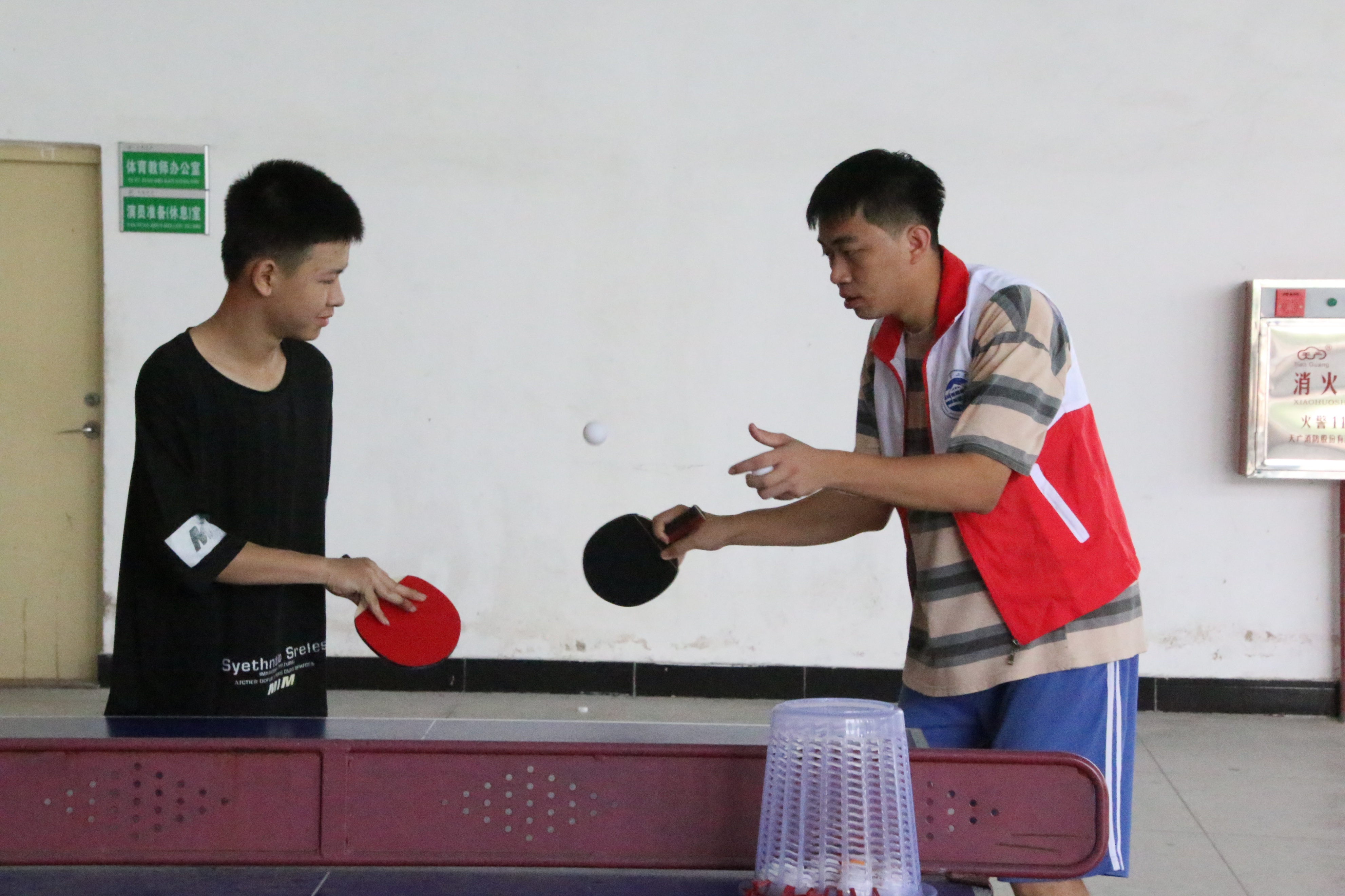 广东理工三下乡,广东培正学院三下乡实践活动