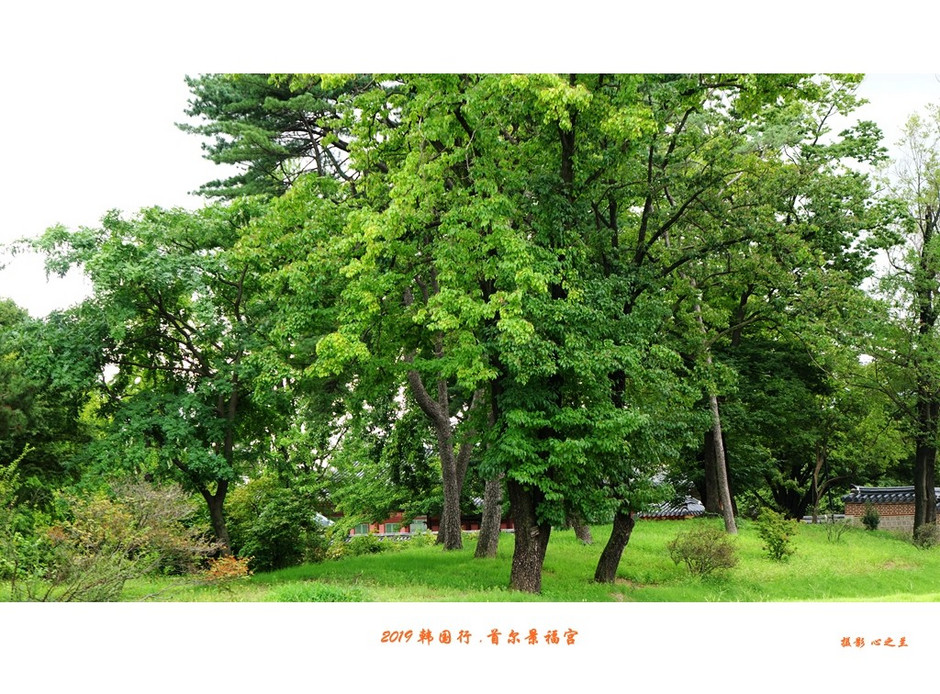 韩国首尔景福宫高清大图,韩国景福宫路线图