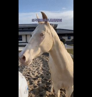 世界杯冠军首场翻车,世界杯输球过程