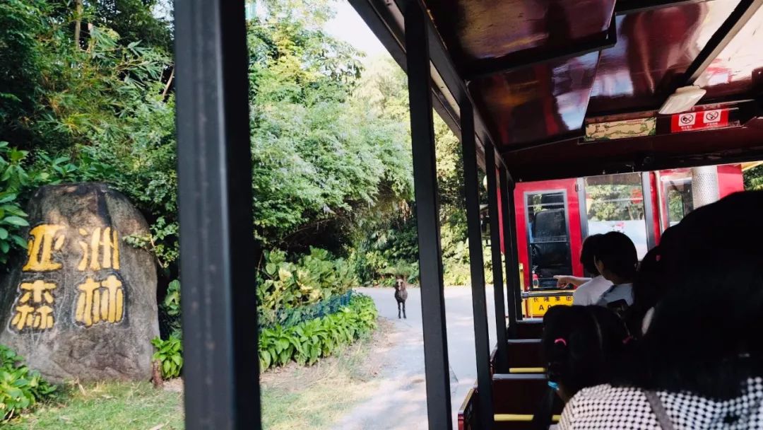 奇了怪了，究竟是什么宝地让广州老饕们也净爱往这钻？