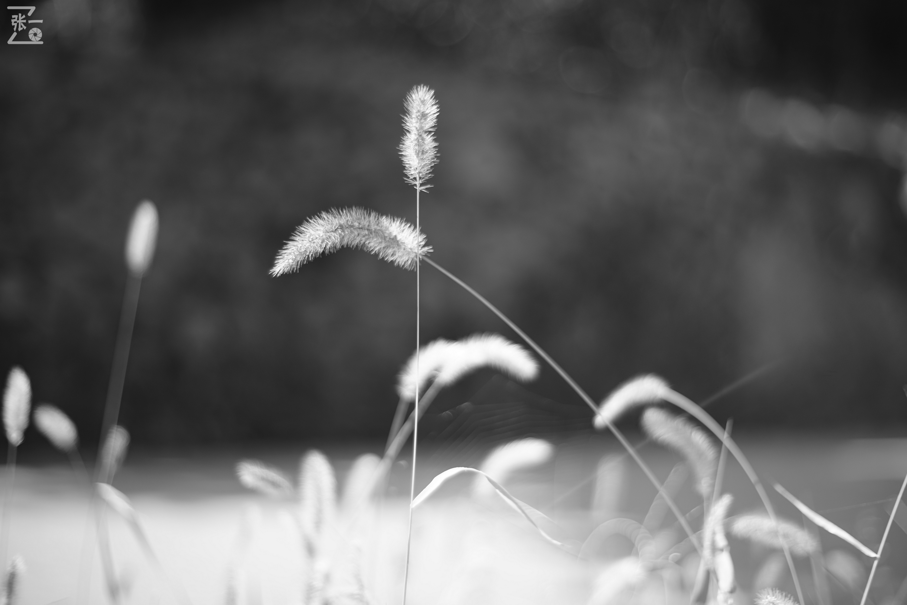 老镜头实拍,老镜头拍北京